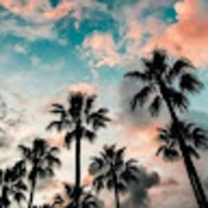 Meet your Posher, Lee-anne